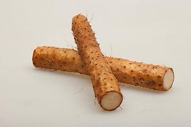 《七日杀》1.0测试版向所有玩家开放 正式版7月上线